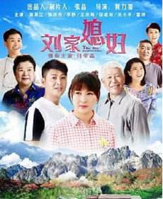 刘家媳妇分集剧情