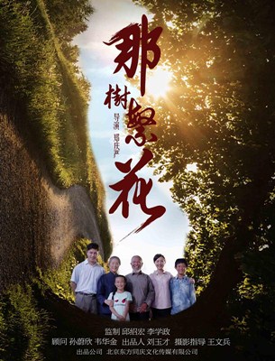 那树繁花分集剧情