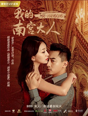 我的南宫大人分集剧情