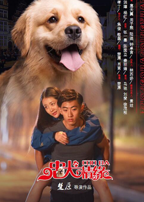 忠犬情缘分集剧情