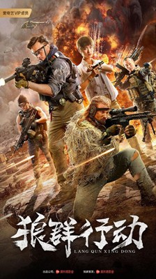 狼群行动分集剧情