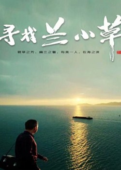 寻找兰小草分集剧情