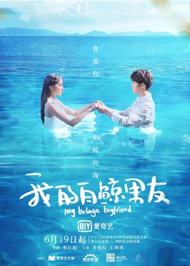 我的白鲸男友分集剧情