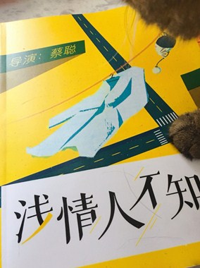 浅情人不知分集剧情