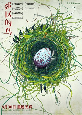 郊区的鸟分集剧情