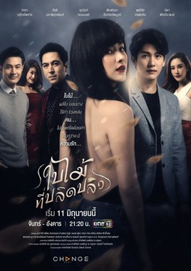 吹落的树叶分集剧情