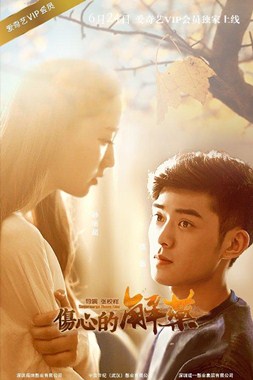 伤心的解药分集剧情