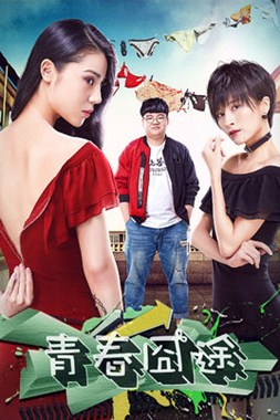 青春囧途分集剧情