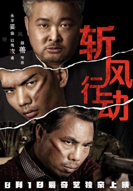 斩风行动分集剧情