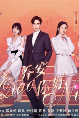 乔安你好分集剧情