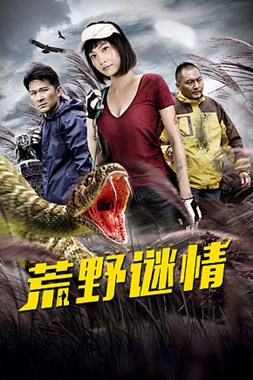 荒野迷情分集剧情