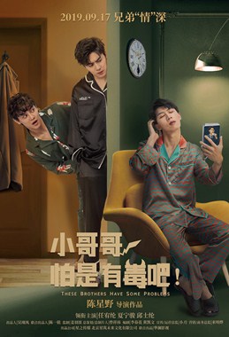 小哥哥怕是有毒吧分集剧情