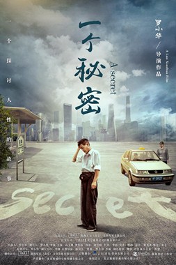 一个秘密分集剧情