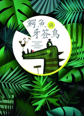 鳄鱼与牙签鸟分集剧情