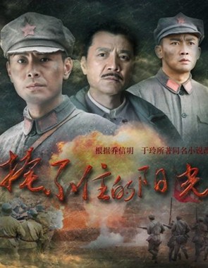 掩不住的阳光分集剧情