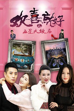 欢喜就好之五星大饭店分集剧情