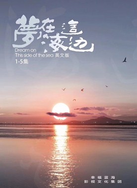 梦在海这边分集剧情