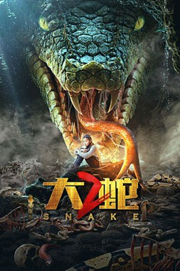 大蛇2分集剧情