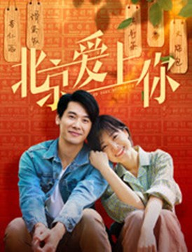 北京爱上你分集剧情