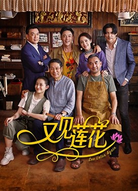 又见莲花分集剧情