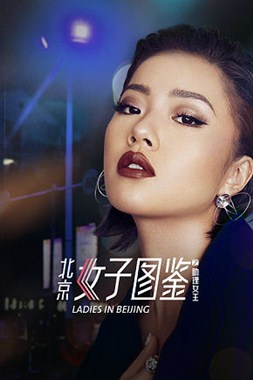 北京女子图鉴之助理女王分集剧情