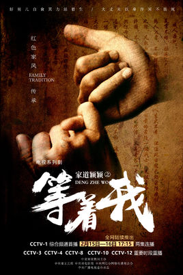 家道颖颖之等着我分集剧情