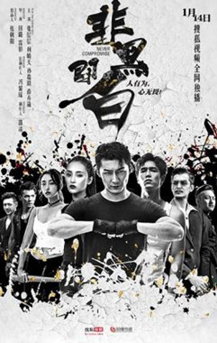 非黑即白分集剧情