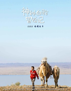 神秘白驼冒险记分集剧情