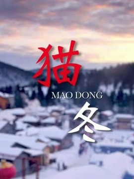 猫冬分集剧情