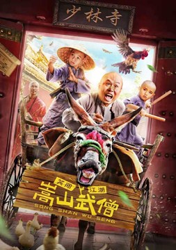 嵩山武僧分集剧情