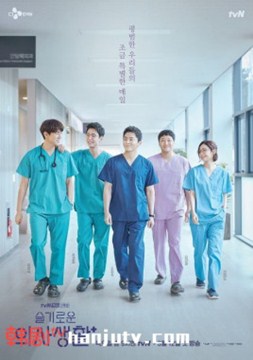 机智的医生生活分集剧情