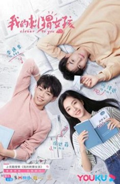 我的刺猬女孩分集剧情