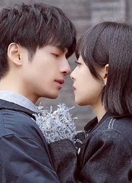 心跳源计划分集剧情