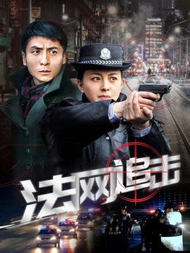 法网追击分集剧情