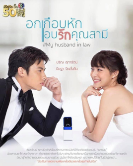 法定丈夫分集剧情