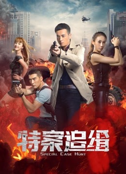 特案追缉分集剧情