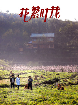 花繁叶茂分集剧情