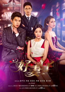 好妻子分集剧情