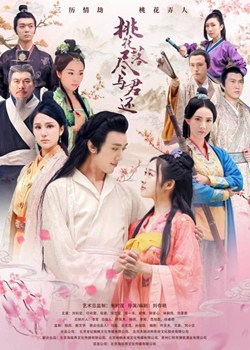 桃花落尽与君还分集剧情