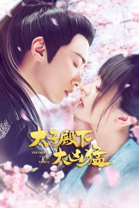 太子殿下太凶猛分集剧情