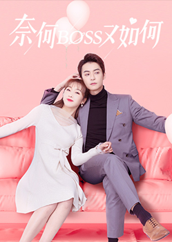 奈何BOSS又如何分集剧情