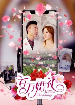 百万婚礼分集剧情