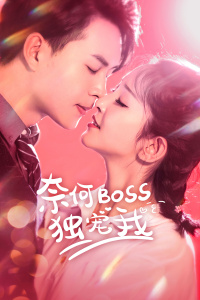 奈何Boss独宠我分集剧情