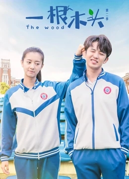 一根木头第二季分集剧情