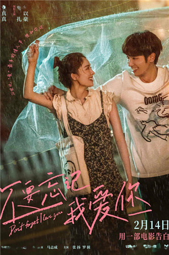 不要忘记我爱你分集剧情