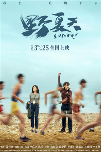 野夏天分集剧情