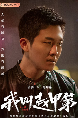 我叫赵甲第分集剧情