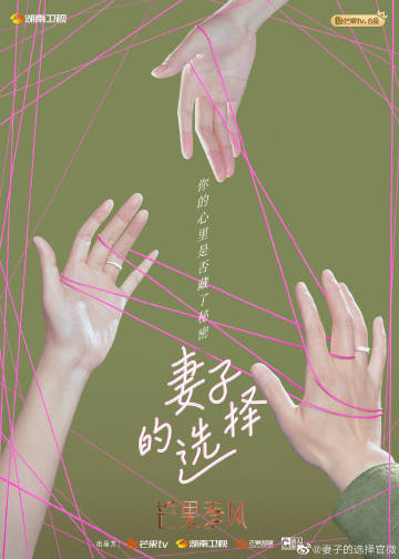 妻子的选择分集剧情