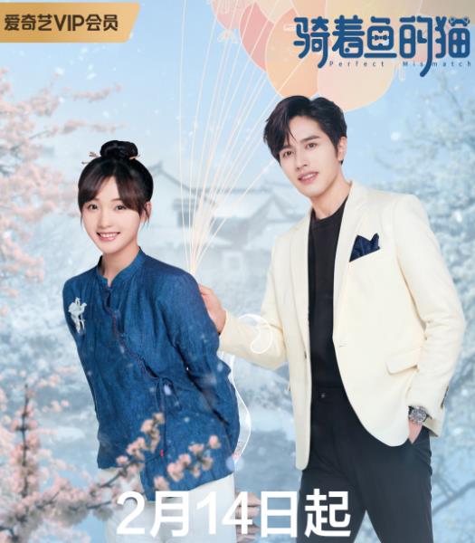 骑着鱼的猫分集剧情