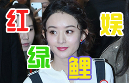 红绿鲤娱原创专题